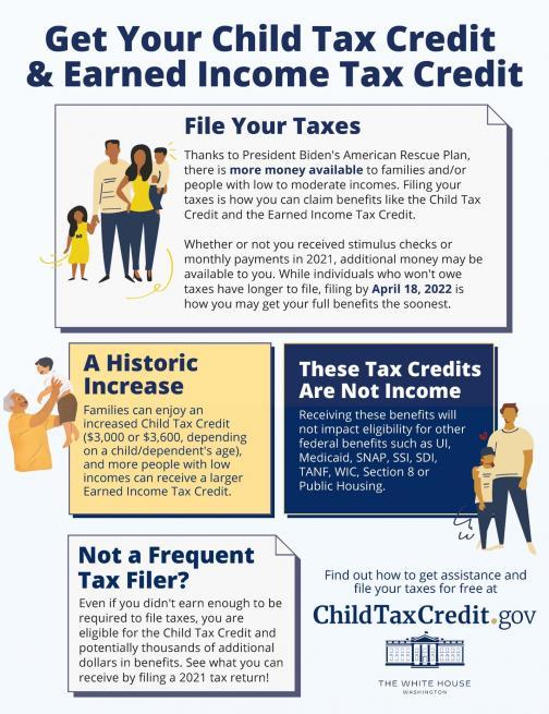 Leveraging Tax Benefits and Government Programs for Families