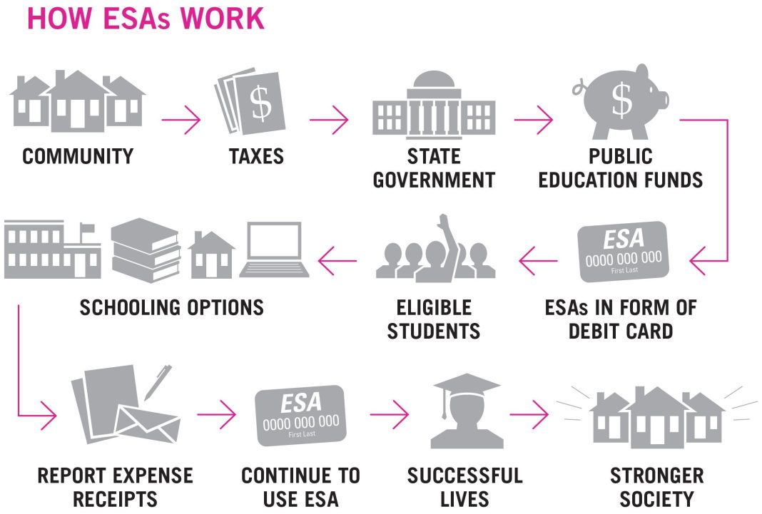 The role of government sponsored education savings accounts in long term planning