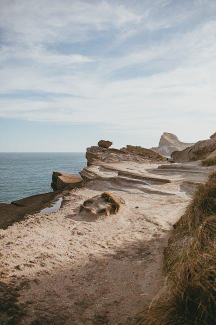 Understanding Your Debt Landscape