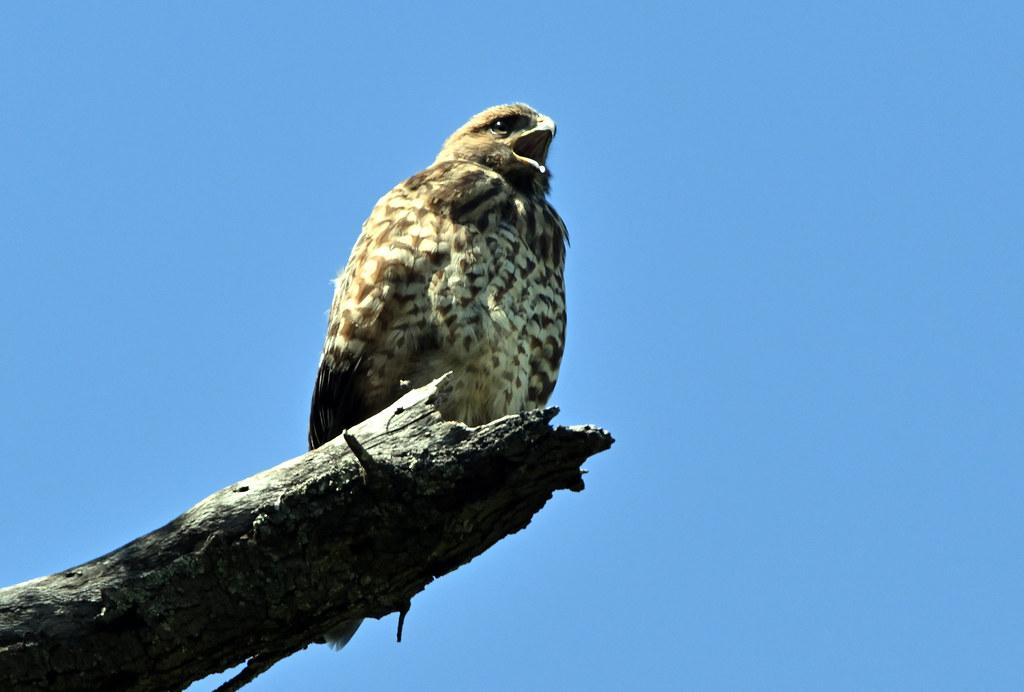 Strategic Allocation to Balance Risk and Reward