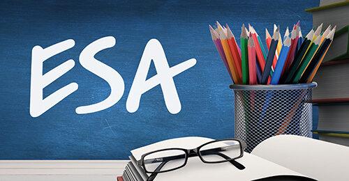 Understanding the Different Types of Education Savings Accounts