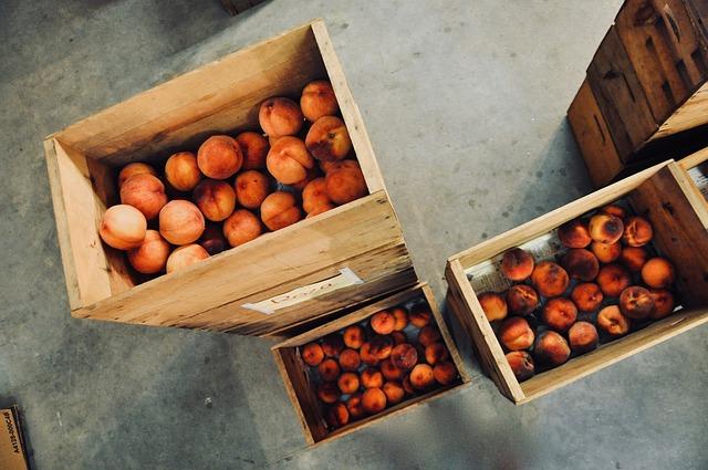 Effective Storage⁣ Solutions ⁢to Extend the Life⁤ of‍ Your Food
