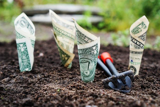 Leveraging Tax Benefits and Education Savings Accounts